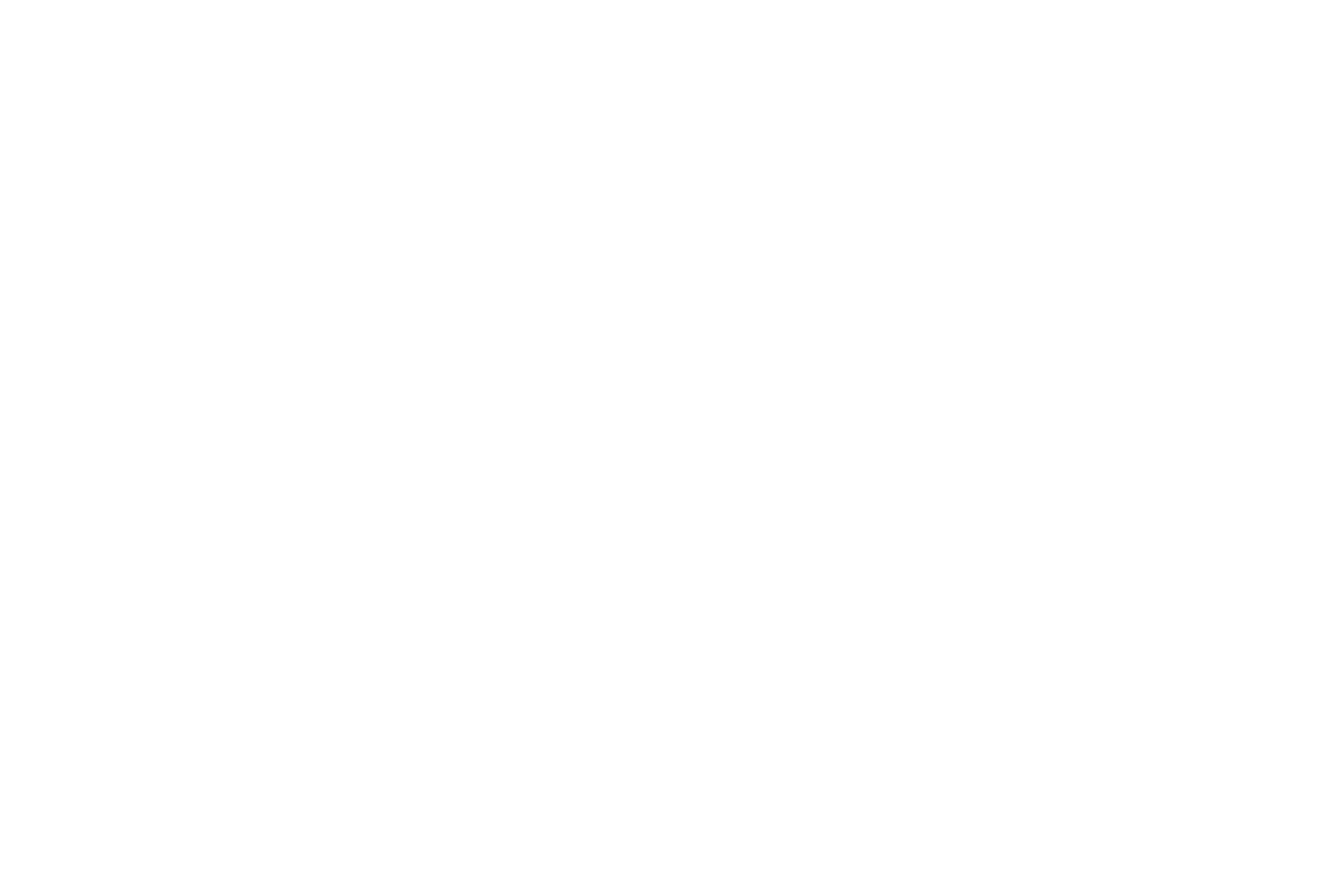 CxO-Werkstatt